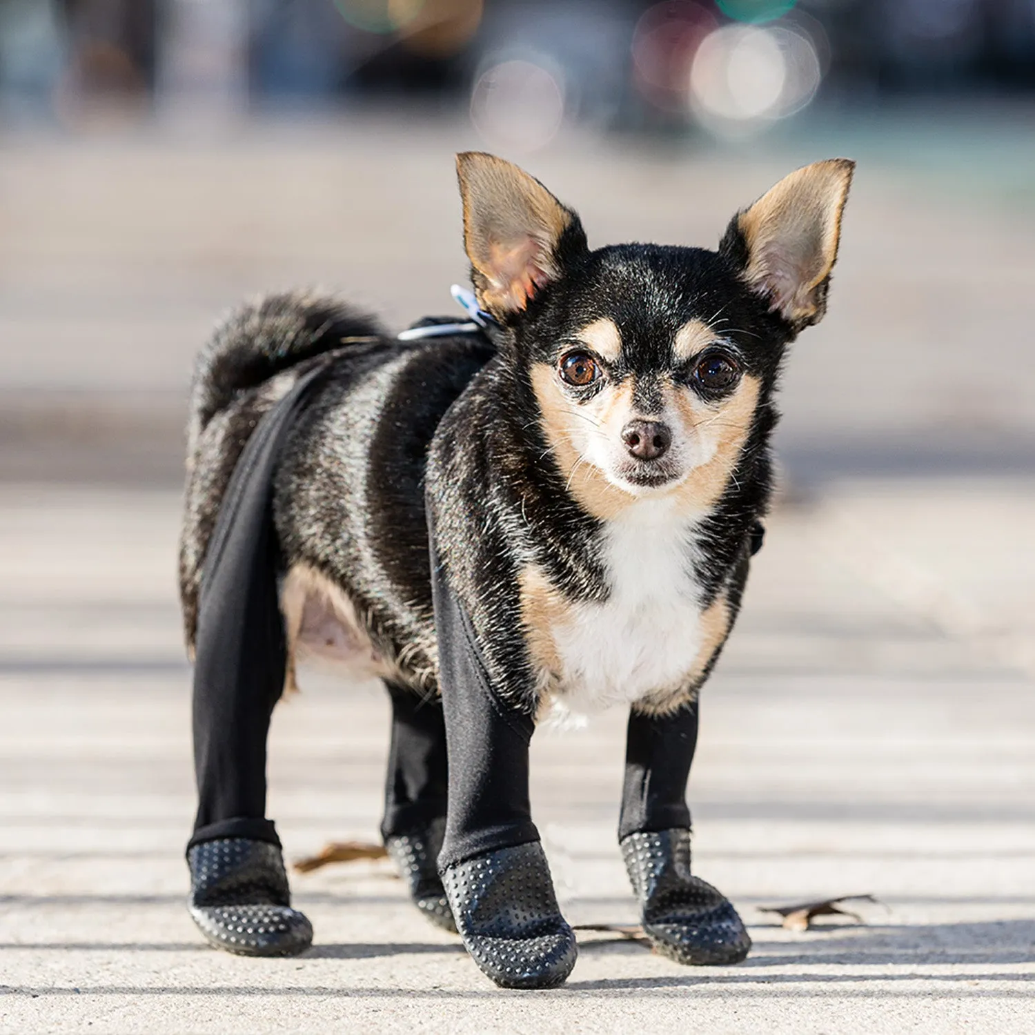 Adjustable Fit Boot Leggings — [ ꜰɪɴᴀʟ ꜱᴀʟᴇ]