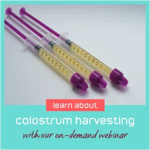 Boots Health Hub Colostrum Harvesting On Demand Webinar