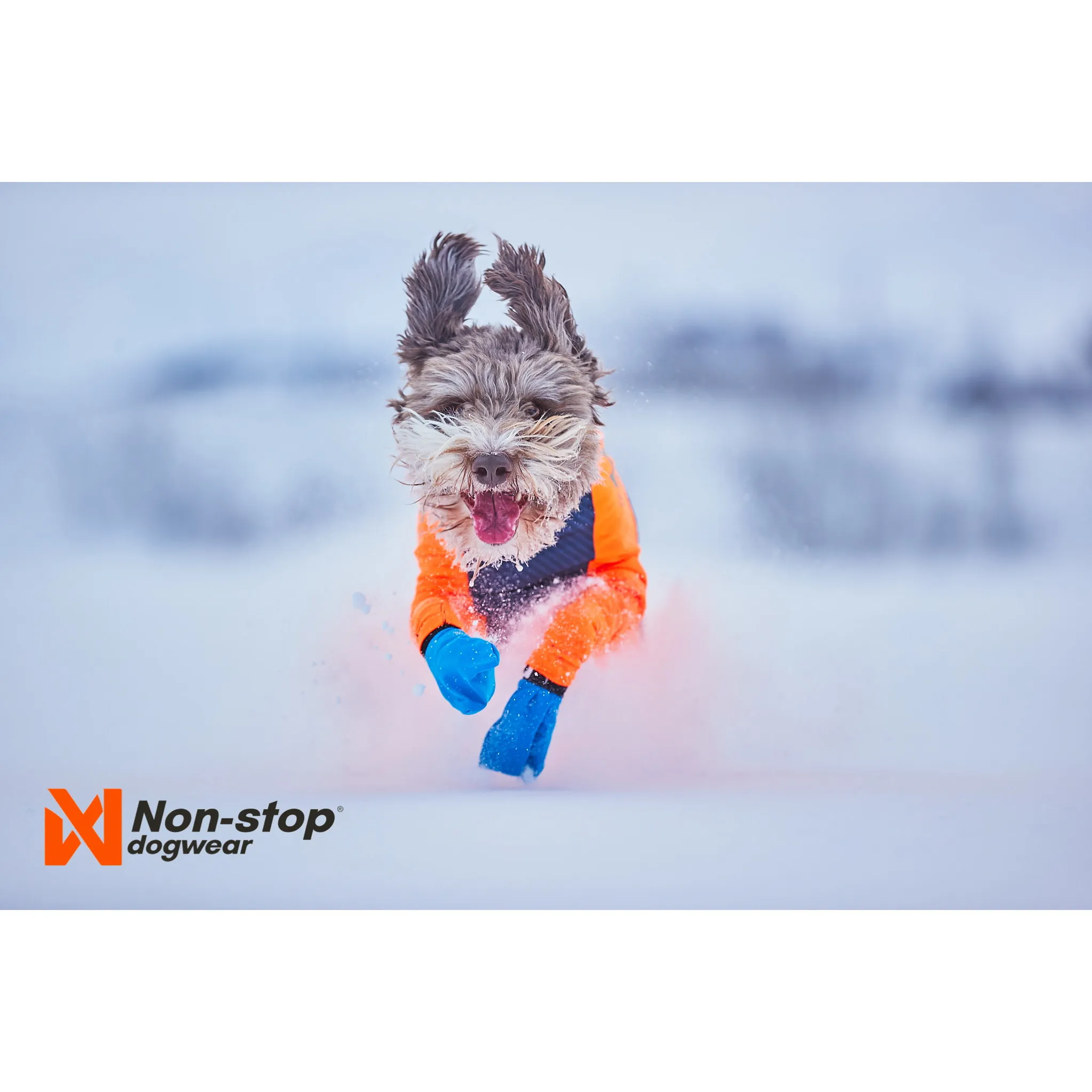 Non-stop Dogwear Protector Snow Female Orange/Black | Buy Non-stop Dogwear Protector Snow Female Orange/Black here | Outnorth