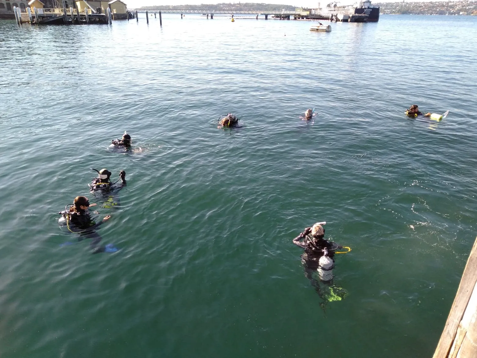 PADI Open Water Diver - Learn How to Dive: Saturday Start