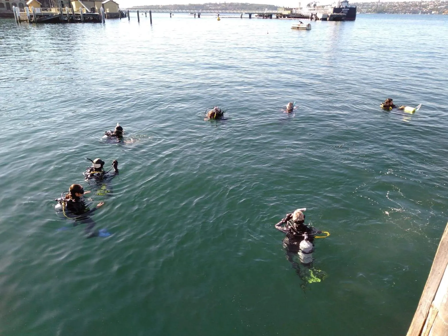 PADI Open Water Diver - Learn How to Dive: Sunday Start